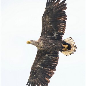 aacomp usedom 20130517 2112a