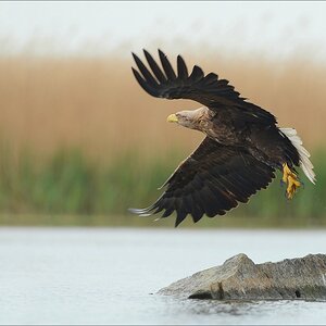 aacomp usedom 20130517 1721