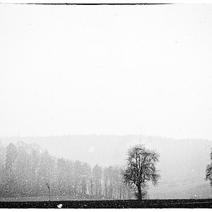 SchneeDSC 0761