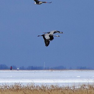 Flugbegleitung