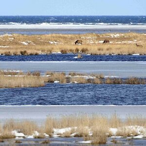 Nationalpark an der Ostsee