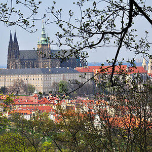 DSC 1063 Burg mit Veitsdom