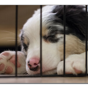 hinter Gittern1