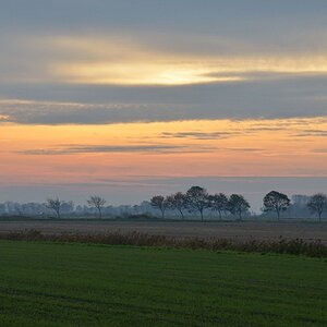 DSC 2948