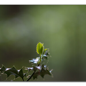 lighning6