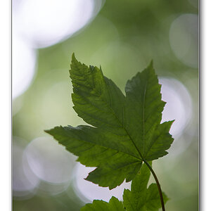 lighning7