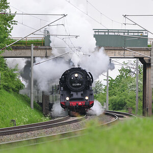 DSC 2031 03 2155 4