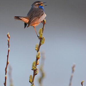 comp Akt.Texel (3)