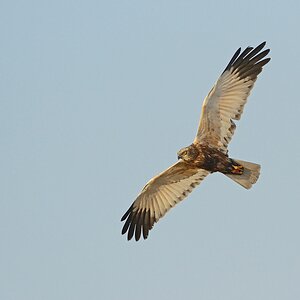 comp Akt.Texel (5)