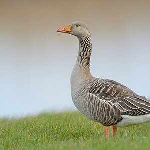 comp Akt.Texel (7)