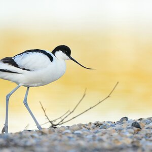 comp Akt.Texel (10)