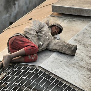 Schlafender Junge auf dem Dach der  2920
4997