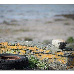 strandgut2
