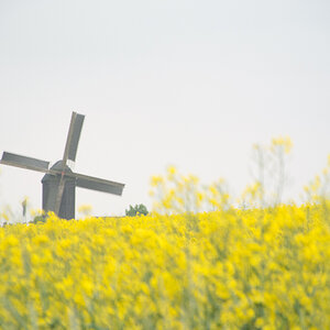 20130520 DSC 2488