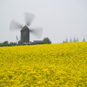 20130520 DSC 2505
