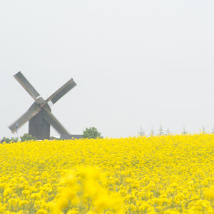 20130520 DSC 2502