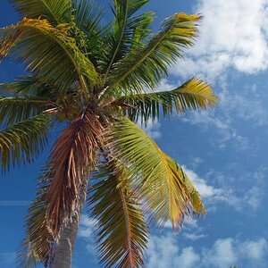 K1024 Florida 2013 045