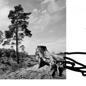 wahnerheide 104v4u1oKorr