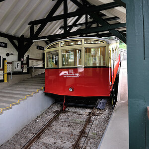 DSC 1964 OWB BB