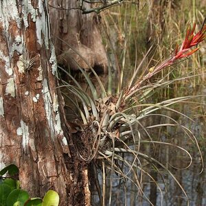 K1024 Florida 2013 309