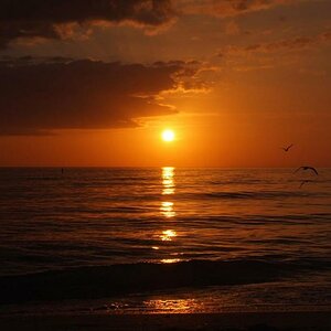 K1024 Florida 2013 355