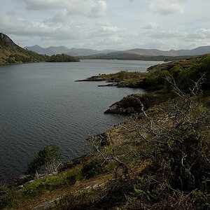 DSC 0348a
