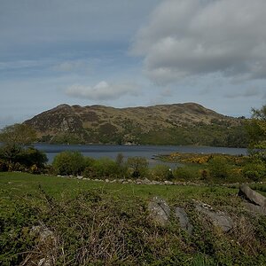 DSC 0326a