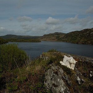 DSC 0346a