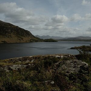 DSC 0336a