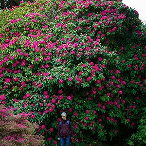 Irland DSC 6701