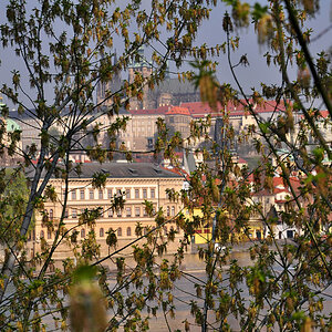 DSC 0907 Durchblick
