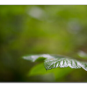 lighning8