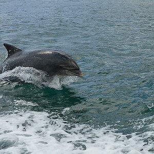 Irland DSC 7202
