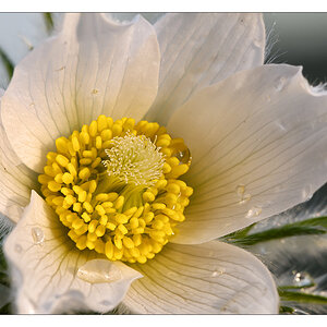 2013 04 22 DSC 7468 w