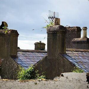 Irland DSC 7681
