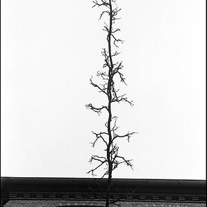 Leica Historica Treffen 2013 12