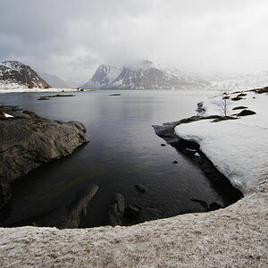 Lofoten 1149