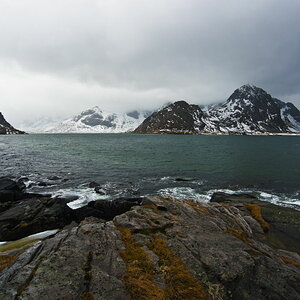 Lofoten 1199