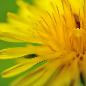 2013 05 03 5778 D 300S A
