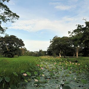 BotanischerGarten in Georgetown
9500