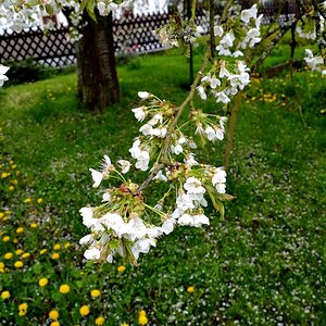 Bild 006