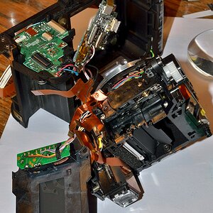 DSC 8357