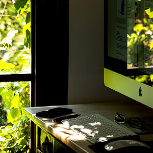 working afternoon