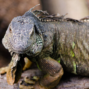 20130407 DSC 1942