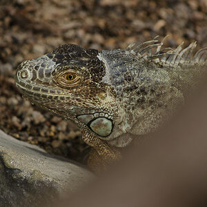 20130407 DSC 1945