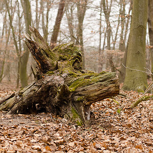 20130406 DSC 1896