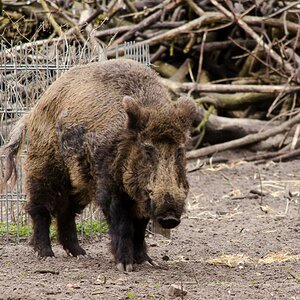 20130406 DSC 1876