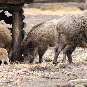 20130406 DSC 1874