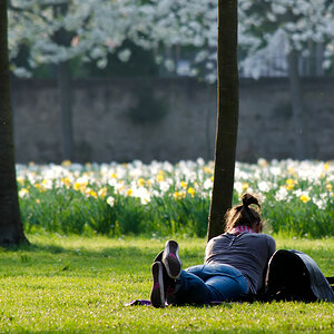 sonnen im park
