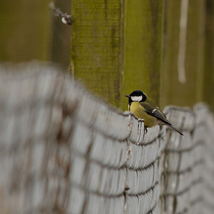 20130406 DSC 1911